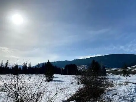 Hochmoor Schwantenau