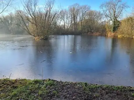 Grebe Pool