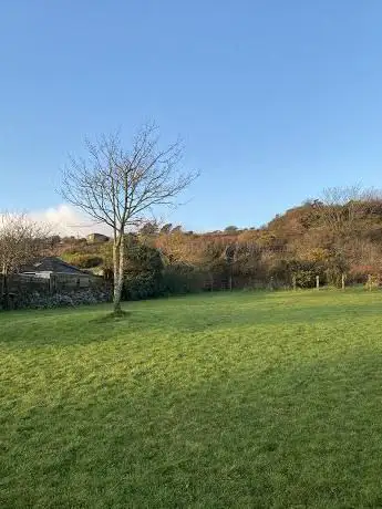 Playing Field