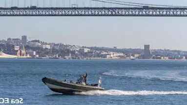 Photo de SeaEO Tours - Sea & Estuary Odyssey