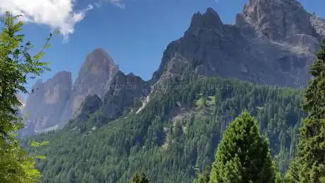 Ente Parco Paneveggio Pale Di San Martino