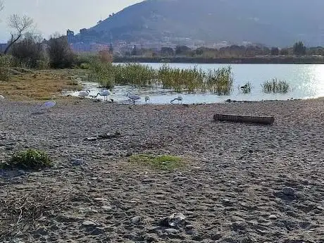 Spiaggia libera