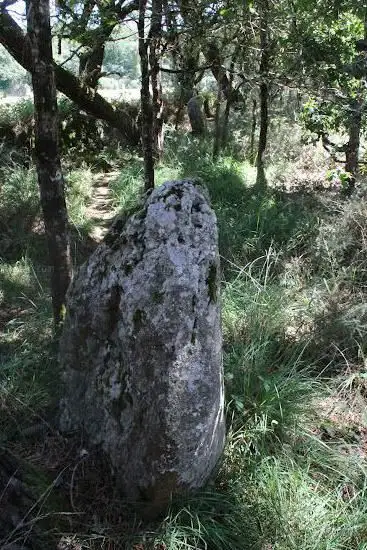 Menhirs de Keriaval B