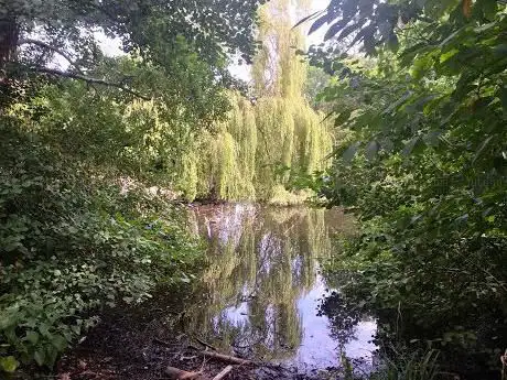 Photo de The Moat