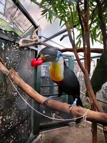 Photo de The Living Rainforest