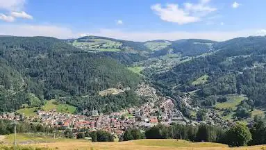 Bikepark Todtnau