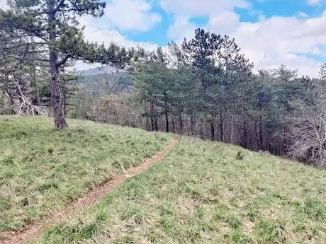 Cima di Moi