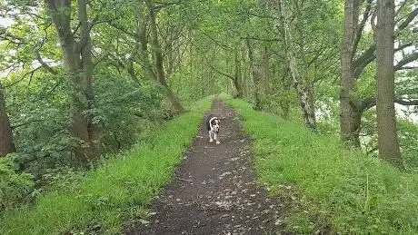 Photo de Barrowby Woods