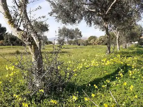 Parco Via Antonio Segni