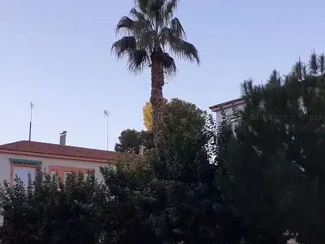 Photo de Plaza de Santa MarÃ­a de Gracia Garden