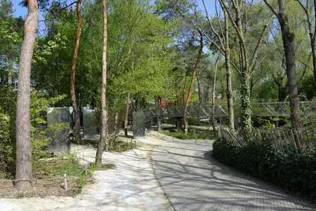 Photo de Jardin des Miroirs