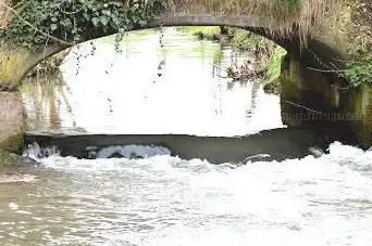 Photo de Marais de MarÅ“uil