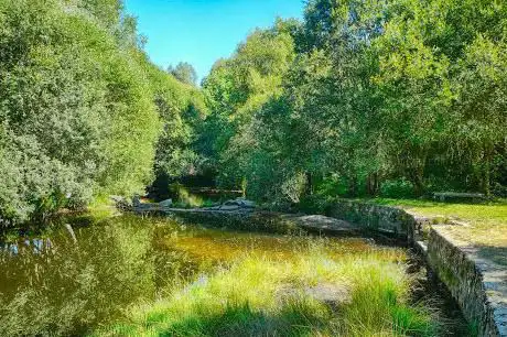 Photo de Ãrea de lecer da Palloza