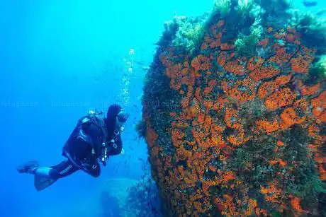 Photo de Diving Center Ustica