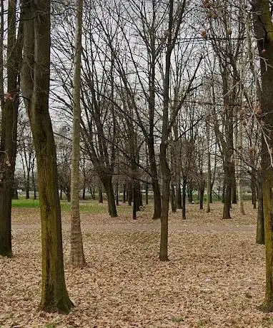Parco del carosello