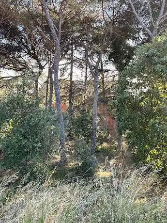 Sendero