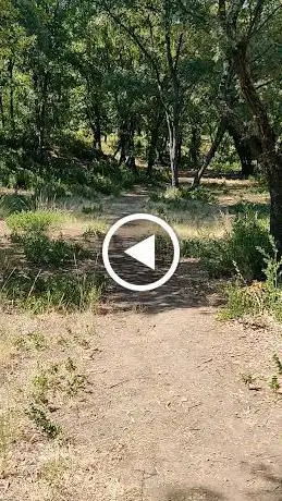 Photo de Parcours de disc-golf