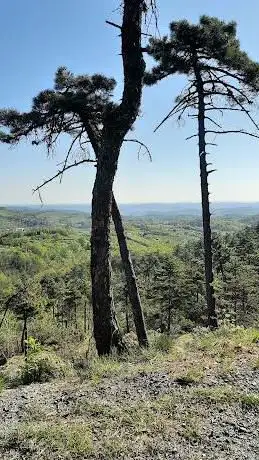 Area panoramica San Carlo