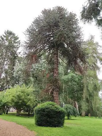 Photo de Parc Arboretum - Municipal de Cauffry