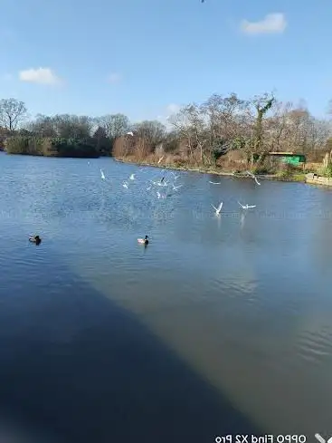 Photo de Poole Park