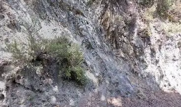 forêt de l'Ubac Foran State Park