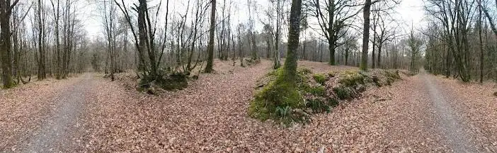 Forêt de Loudéac - Pont Alban