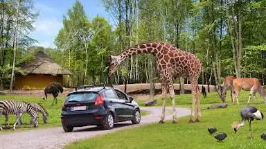 Photo de Wild World Safari Park