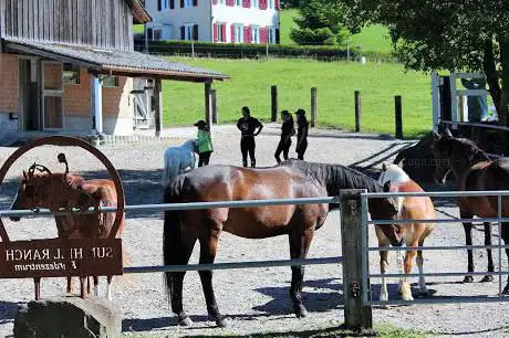 Photo de Sun Hill Ranch Pferdezentrum Flawil
