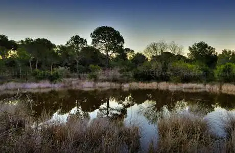 Photo de Estany de la Muntanya del Cavall