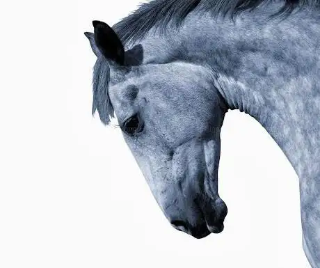 Photo de Folly Farm Equestrian Centre Cheshire