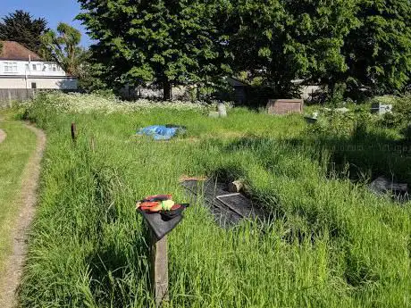 Photo de Redbridge Allotments