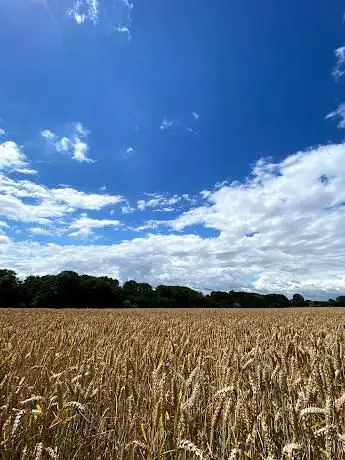 Natuur.gebied Hazeberg