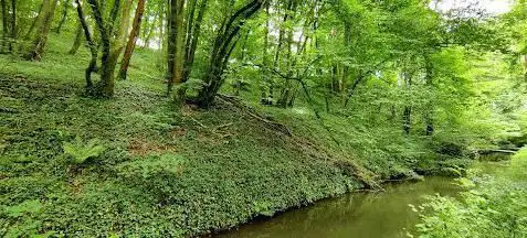 Photo de Marais De Boissy L'aillerie