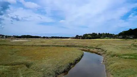 Photo de Le Pont des Marais