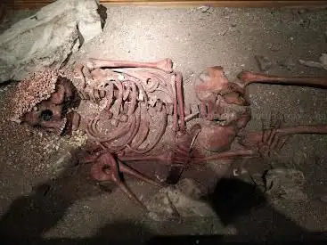 Museo di Archeologia Ligure