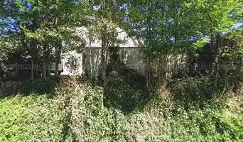 Photo de Ô Jardin des Kamis
