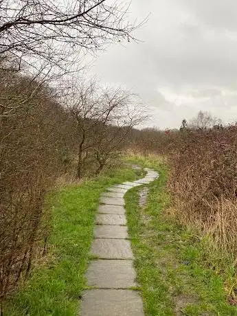 Photo de Bexley Woods