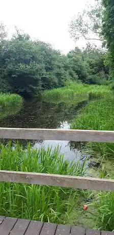 Photo de Lyppard Grange Local Nature Reserve