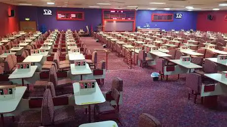 Seven Bingo