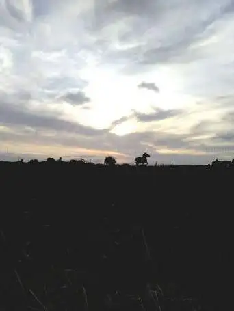 Point de vue (Tréalet)