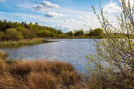 Chapman??s Well  Local Nature Reserve
