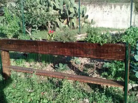 Orto Urbano ??Maestra Franca Anchini?