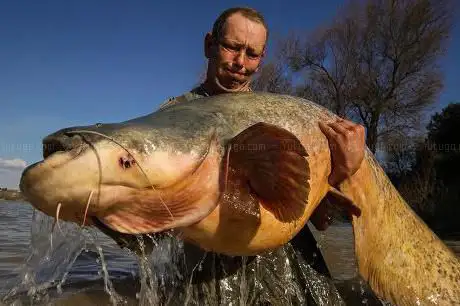 Photo de A&T Ebro Paradies