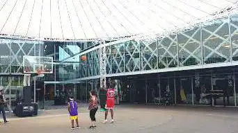 House Of Basketball