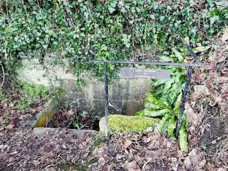 Photo de St Catherine's Well