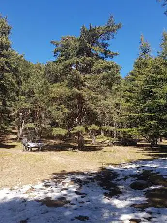Photo de Ruta Carretera De La Republica