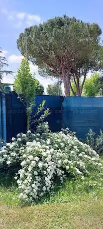 GIARDINO DEI CILIEGI