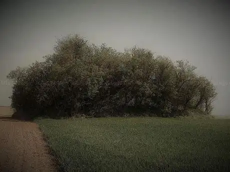 Tumulus d'Avernas