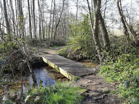 Photo de Natuurgebied Niels Broek - kant Schelle