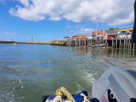 Black Pearl Boat Trips